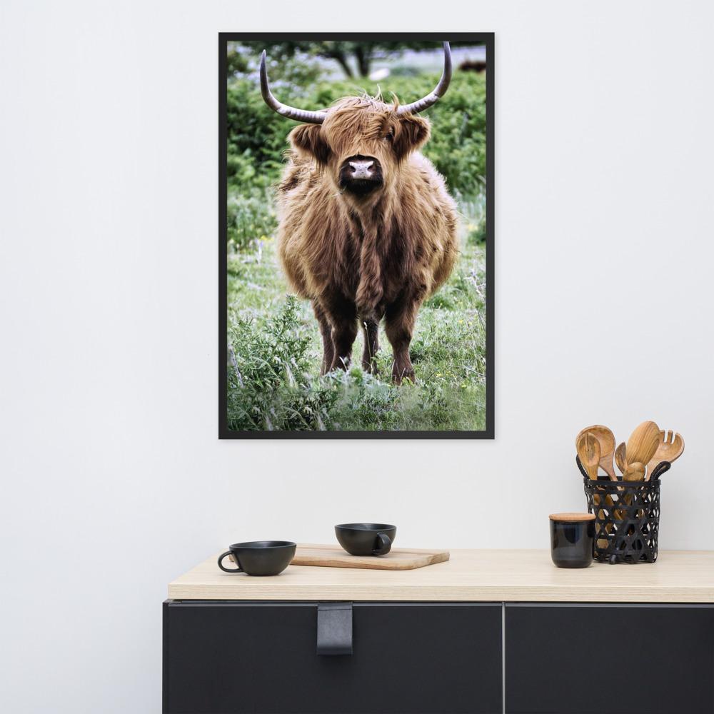 Highland cattle - Poster im Rahmen Kuratoren von artlia artlia