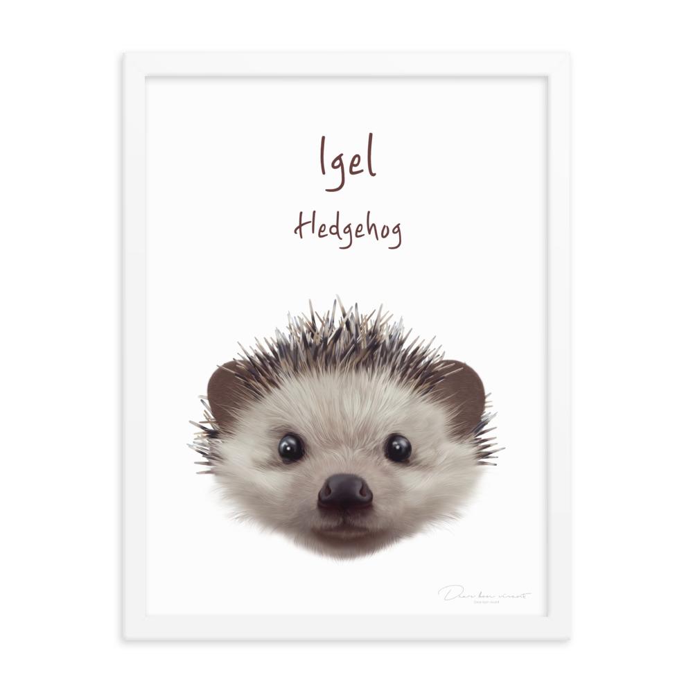 Igel - Poster im Rahmen für Kinder dear.bon.vivant weiß / 30x41 cm artlia