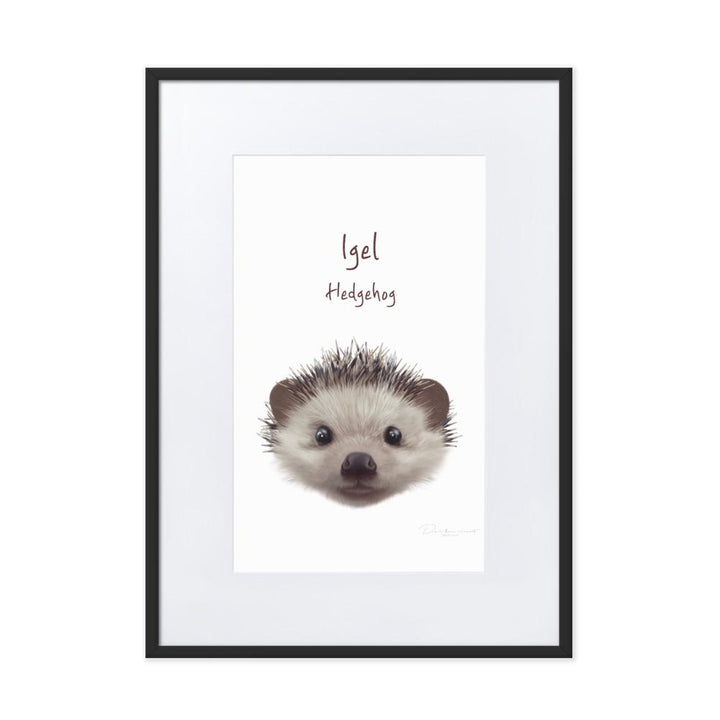 Igel - Poster im Rahmen mit Passepartout dear.bon.vivant schwarz / 50×70 cm artlia