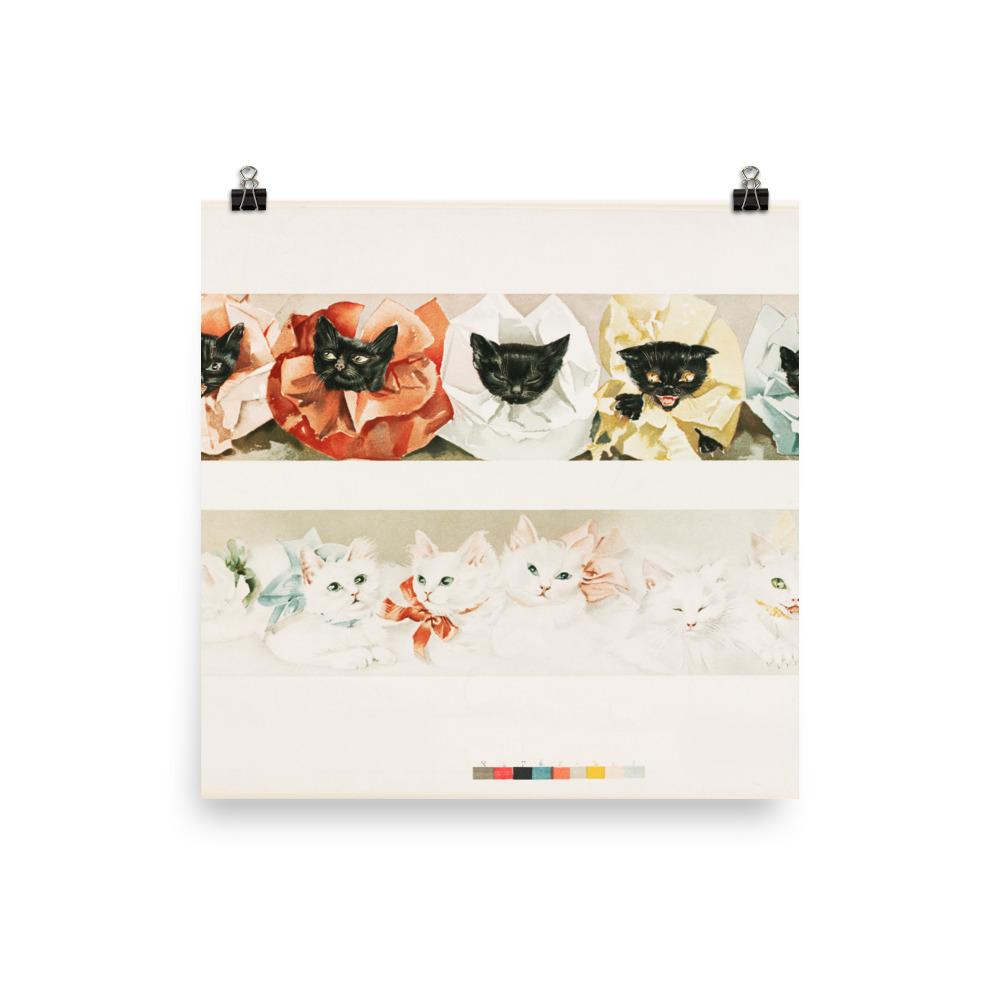 Katzen - Poster Boston Public Library 25x25 cm artlia