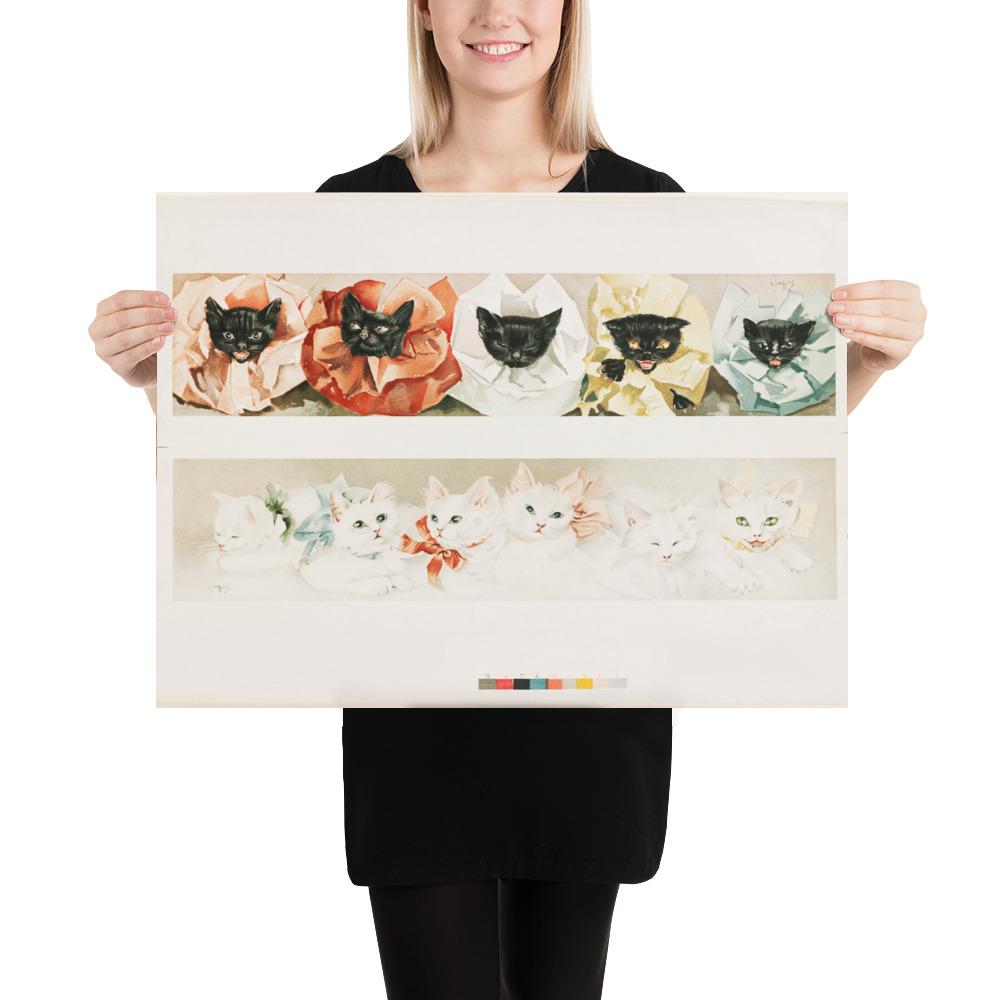 Katzen - Poster Boston Public Library 46x61 cm artlia