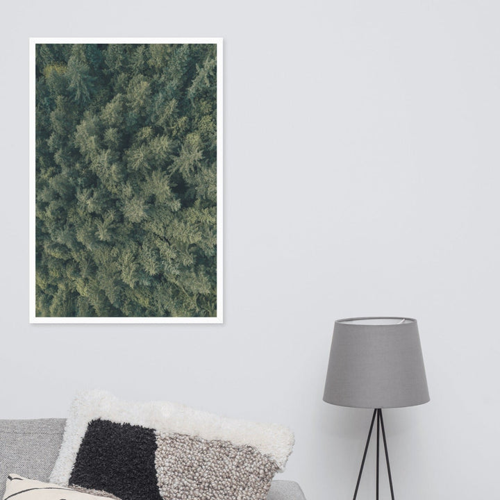 Kiefernwald Pine Forest - Poster im Rahmen Kuratoren von artlia artlia