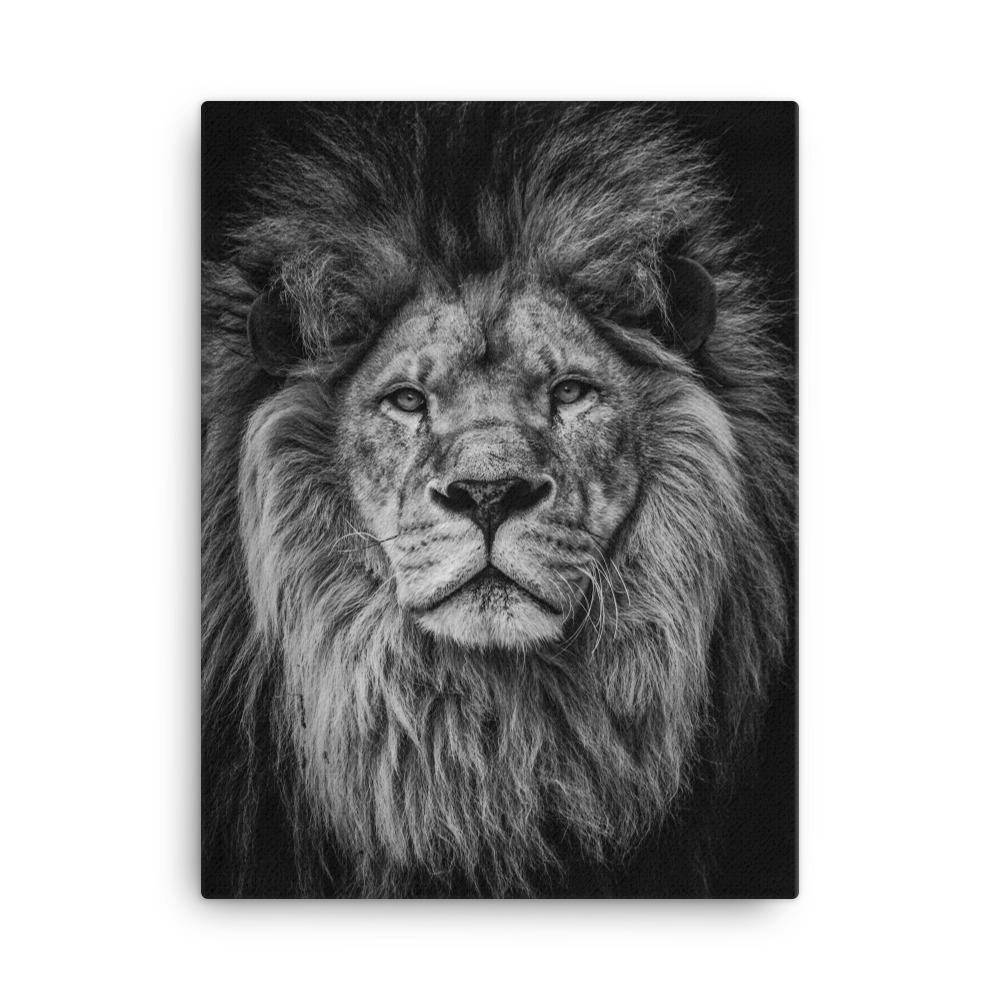 Loewe Lion - Leinwand artlia 18×24 artlia