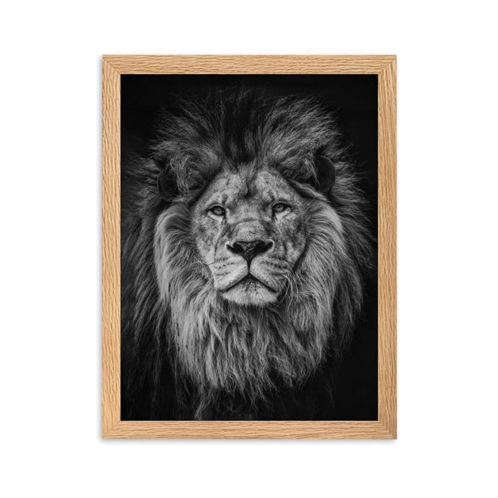 Loewe Lion - Poster im Rahmen artlia Oak / 30×40 cm artlia