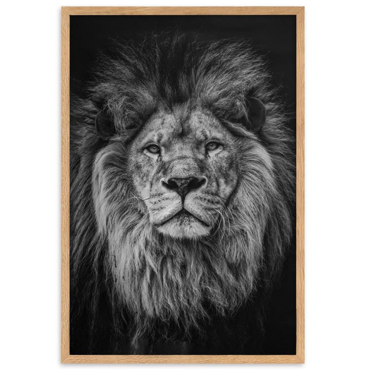 Loewe Lion - Poster im Rahmen artlia Oak / 61×91 cm artlia