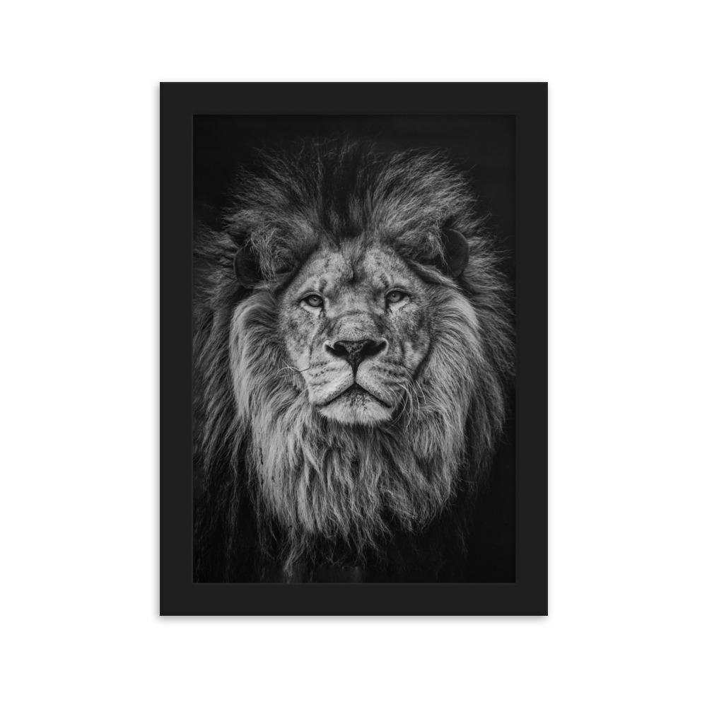 Loewe Lion - Poster im Rahmen artlia Schwarz / 21×30 cm artlia