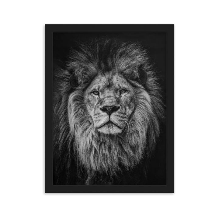 Loewe Lion - Poster im Rahmen artlia Schwarz / 30×40 cm artlia