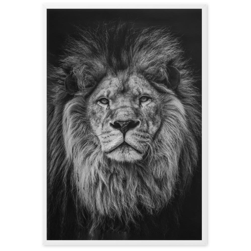 Loewe Lion - Poster im Rahmen artlia Weiß / 61×91 cm artlia