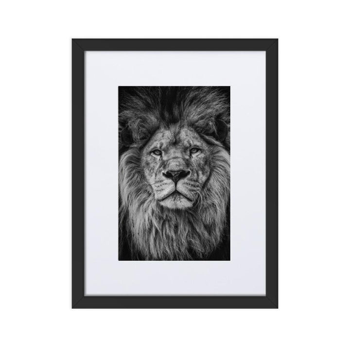 Loewe Lion - Poster im Rahmen mit Passepartout artlia Schwarz / 30×40 cm artlia