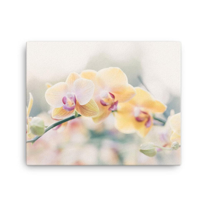 Orchid 01 - Leinwand Kuratoren von artlia 16×20 artlia