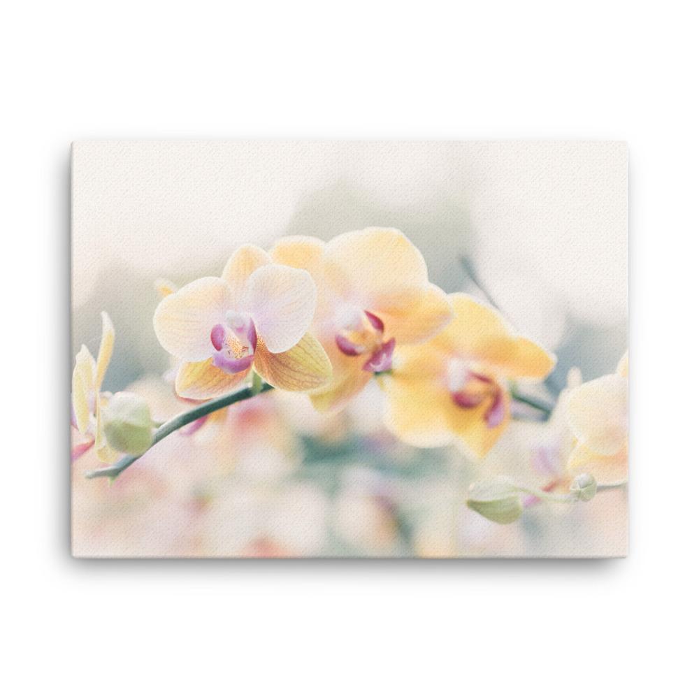 Orchid 01 - Leinwand Kuratoren von artlia 30x41 cm artlia