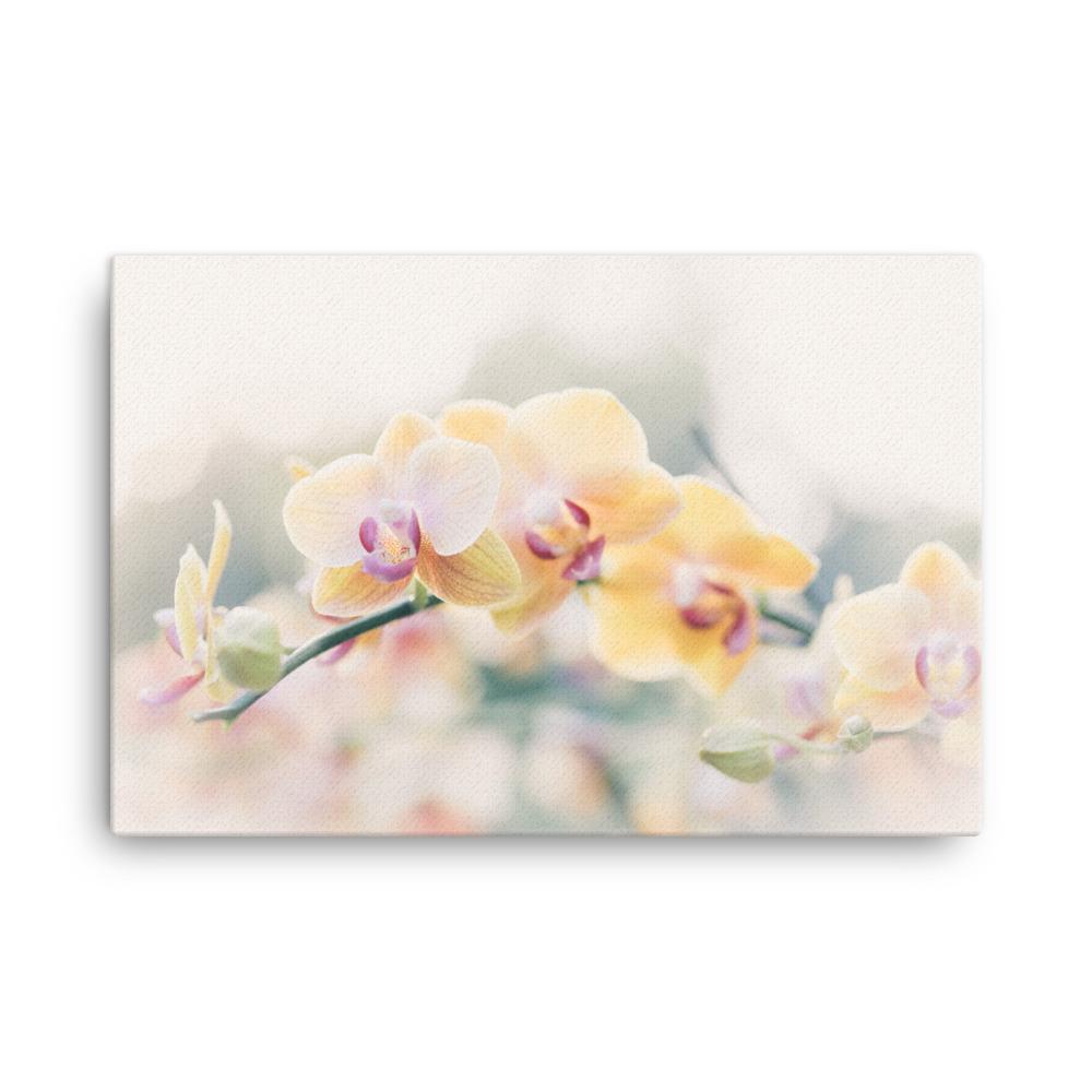 Orchid 01 - Leinwand Kuratoren von artlia 61x91 cm artlia