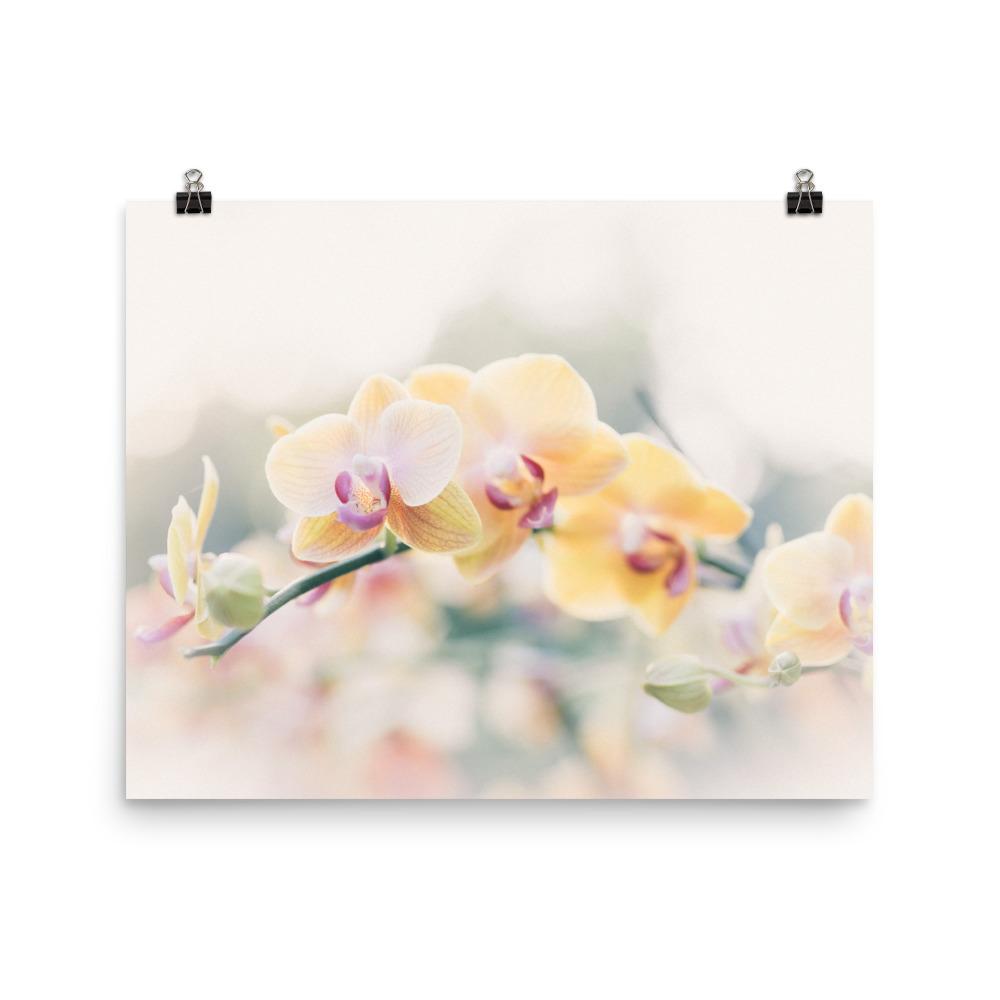 Orchid 01 - Poster artlia 16×20 artlia