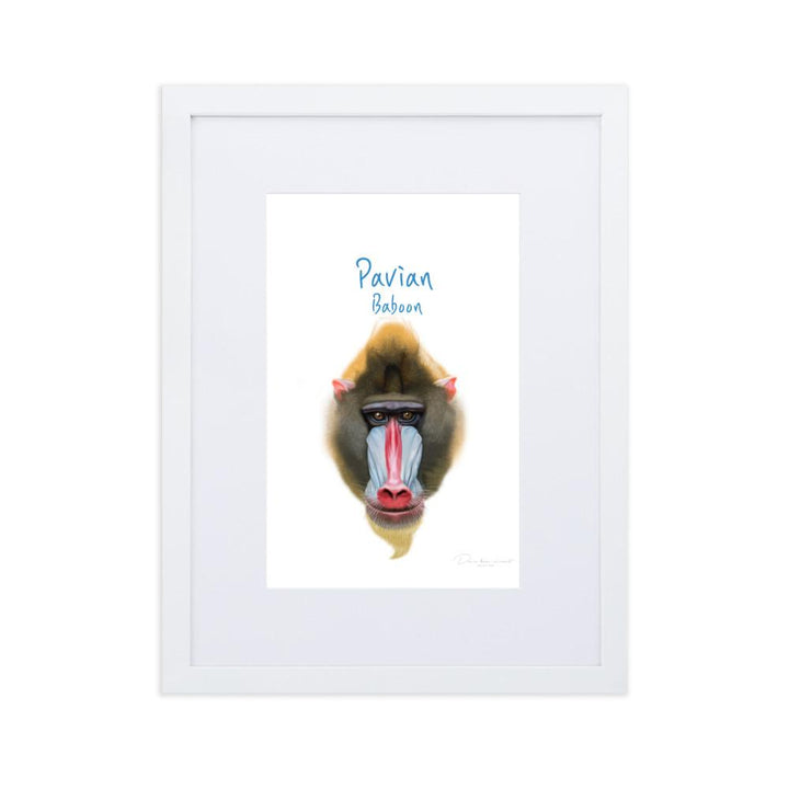 Pavian - Poster im Rahmen mit Passepartout dear.bon.vivant weiß / 30×40 cm artlia