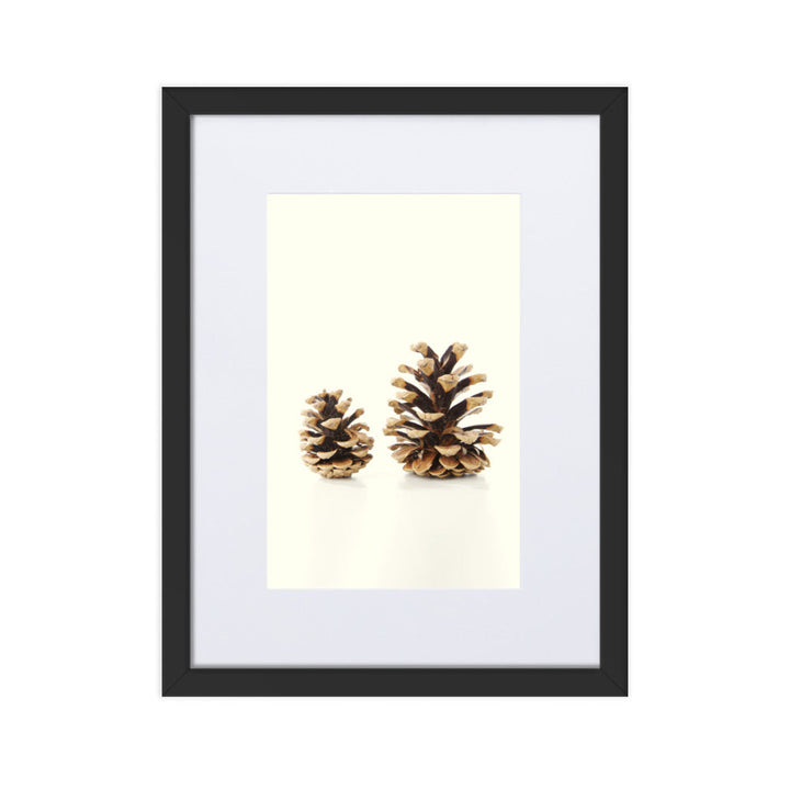 Pine Cone - Poster im Rahmen mit Passepartout Kuratoren von artlia Schwarz / 30×40 cm artlia