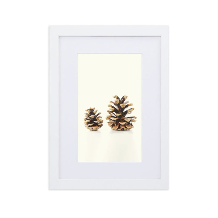 Pine Cone - Poster im Rahmen mit Passepartout Kuratoren von artlia Weiß / 21×30 cm artlia