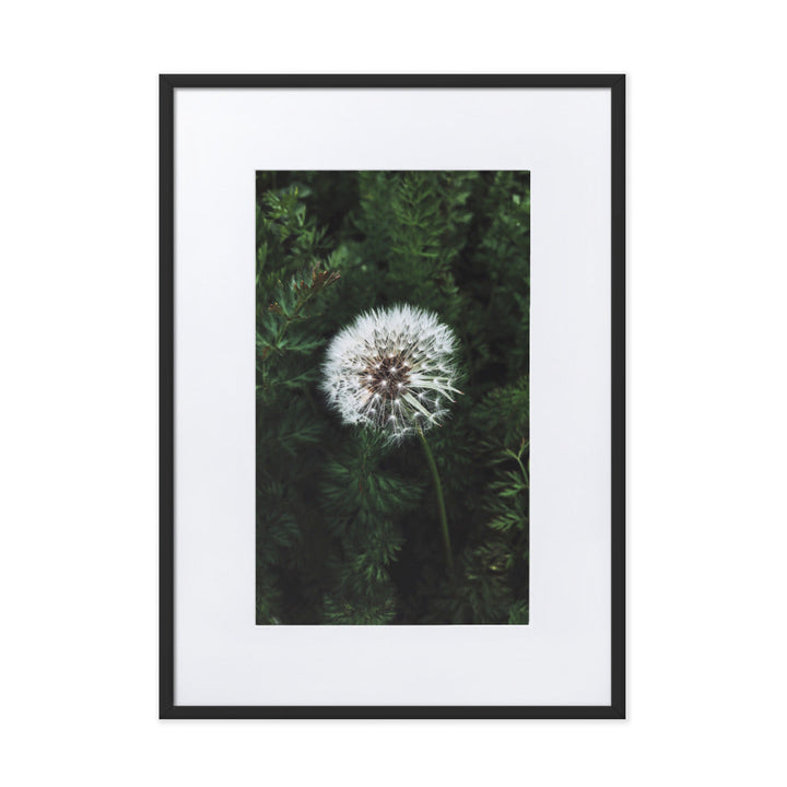 Poster mit Passepartout - Pusteblume Kuratoren von artlia Schwarz / 50×70 cm artlia