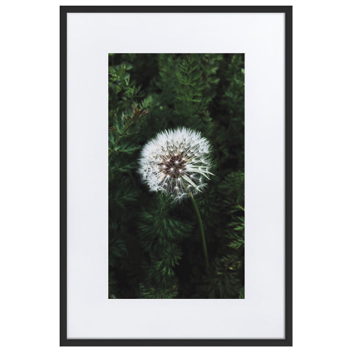 Poster mit Passepartout - Pusteblume Kuratoren von artlia Schwarz / 61×91 cm artlia