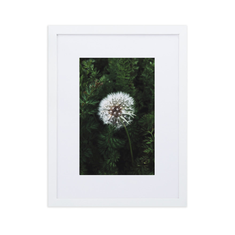 Poster mit Passepartout - Pusteblume Kuratoren von artlia Weiß / 30×40 cm artlia