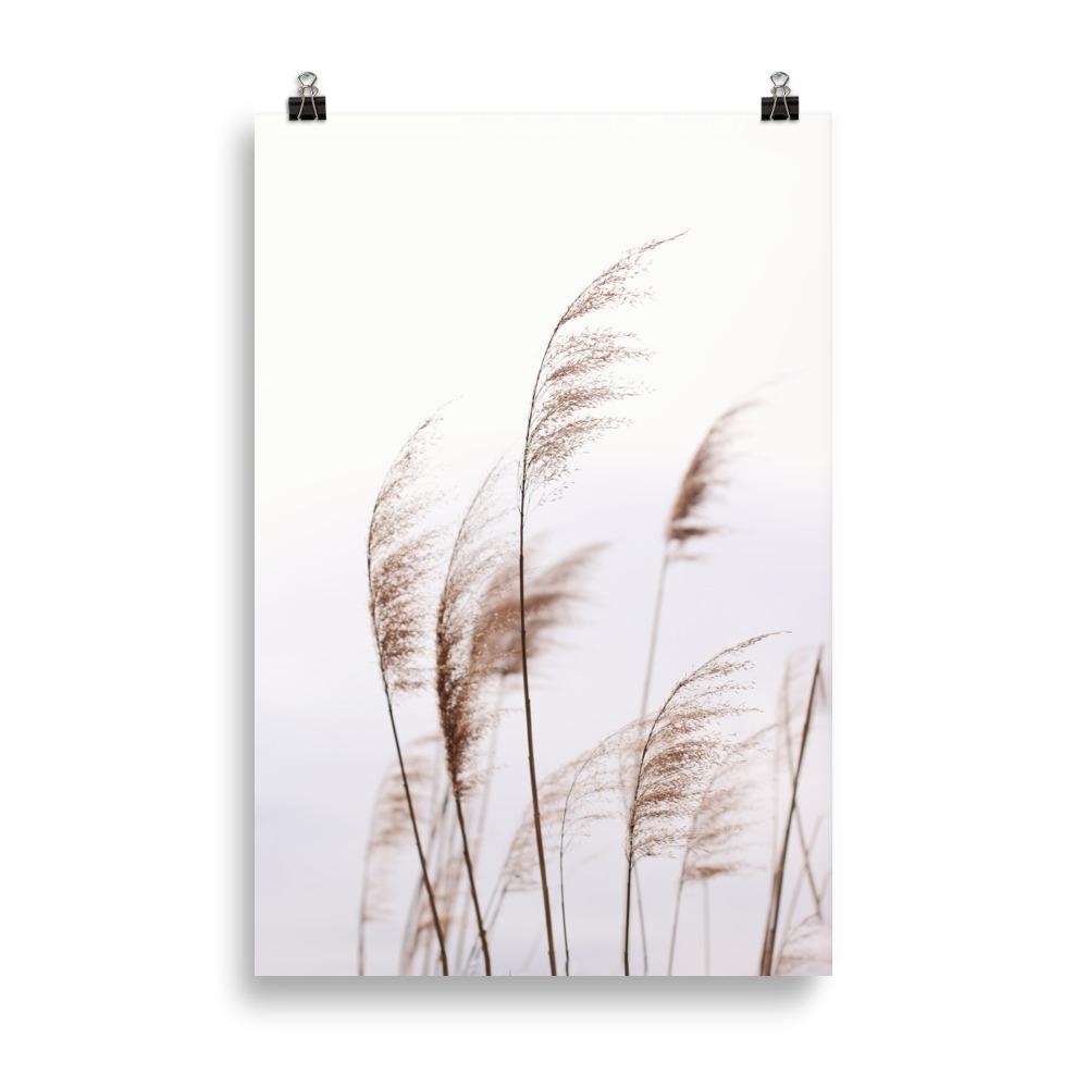 Reeds 01 - Poster artlia 61×91 cm artlia