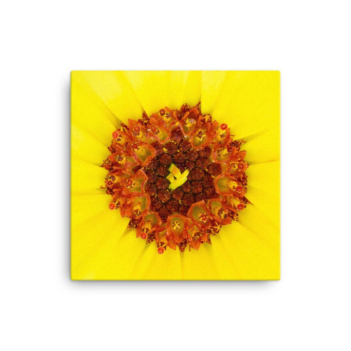 Ringelblume - Leinwand artlia 16×16 artlia