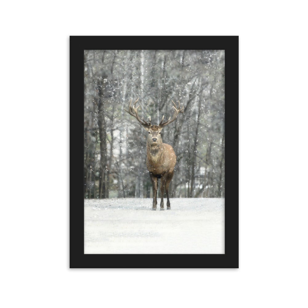 Rotwild im Schnee - Poster im Rahmen artlia Schwarz / 21×30 cm artlia