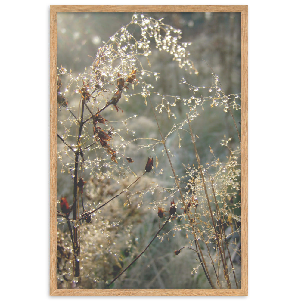 Winter Dews - Poster im Rahmen Kuratoren von artlia Oak / 61×91 cm artlia