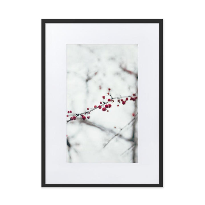 Winterbeeren Winterberries - Poster im Rahmen mit Passepartout artlia Schwarz / 50×70 cm artlia